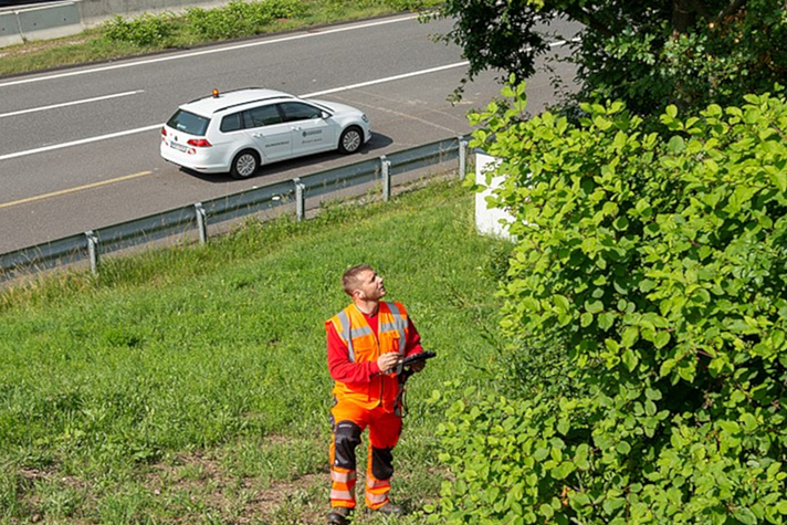 Photo: Mann kontrolliert Bäume am Straßenrand