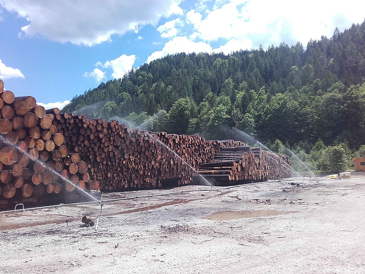 Photo: Holz wird im Freien gelagert und mit Wasser bespritzt