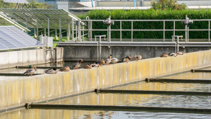 Photo: Becken der Abwasser-Wärme-Nutzungsanlage in Weiz 