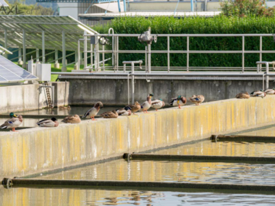 Photo: Becken der Abwasser-Wärme-Nutzungsanlage in Weiz 