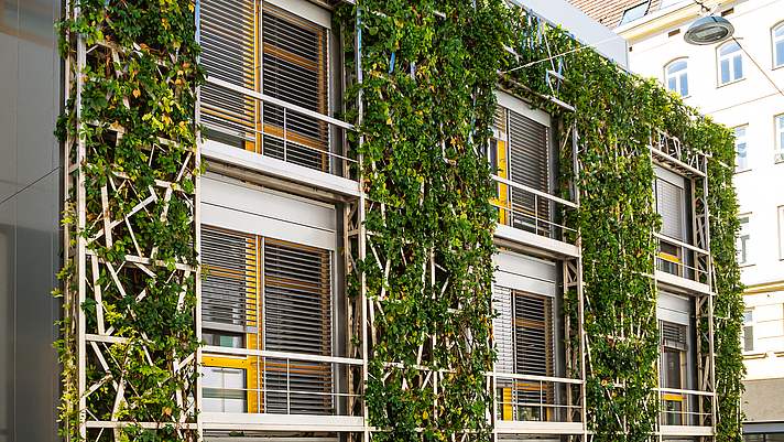 Photo: Begrünte Hausfassade des St. Anna Kinderspital